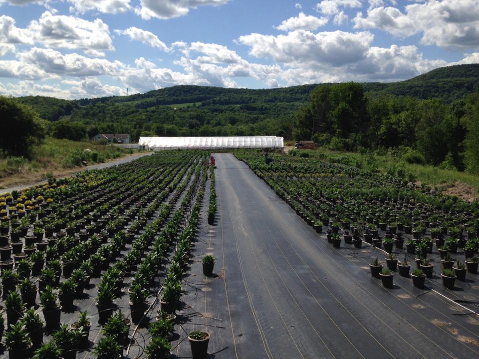 10449925_10152083095352105_9222743508586517369_n