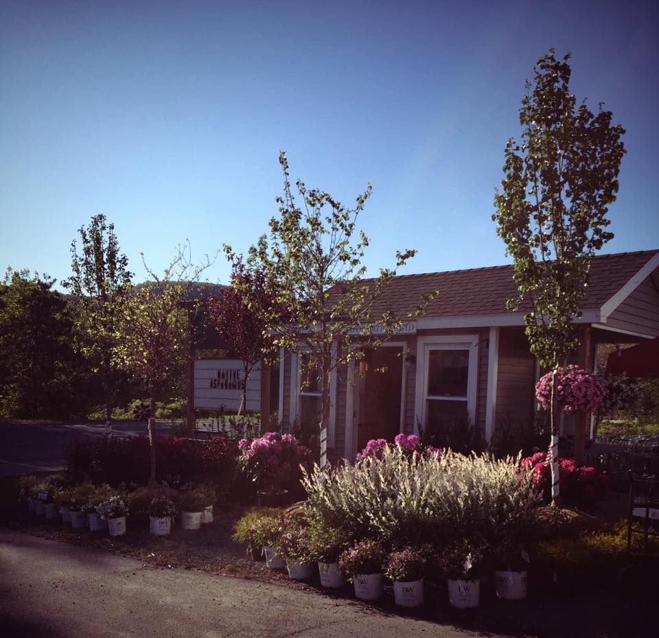 11102807_10152774803907105_232038265135204770_n