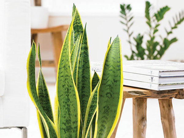 Whitney’s Farm Market & Garden Center