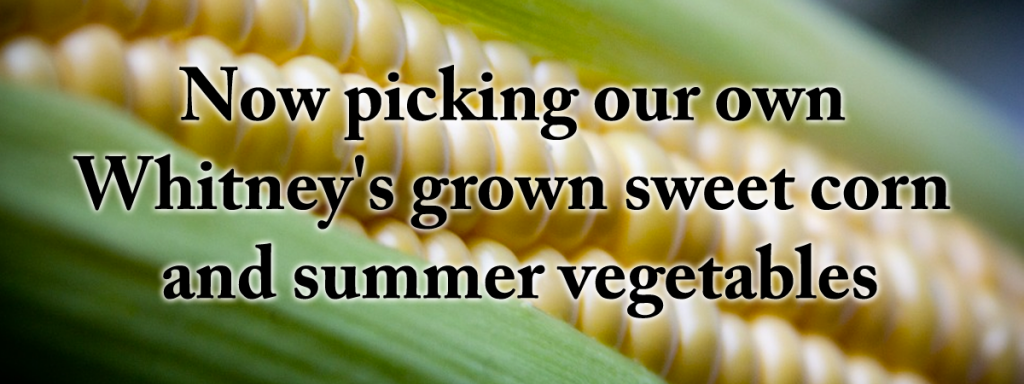 Whitney’s Farm Market & Garden Center