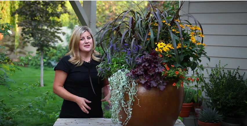 Whitney’s Farm Market & Garden Center