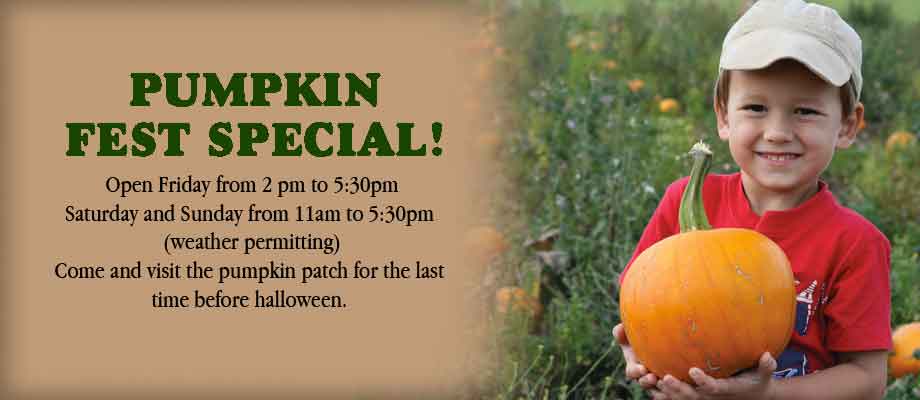 Whitney’s Farm Market & Garden Center