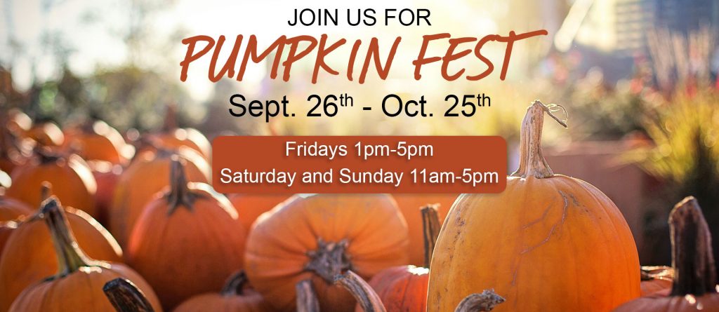 Whitney’s Farm Market & Garden Center