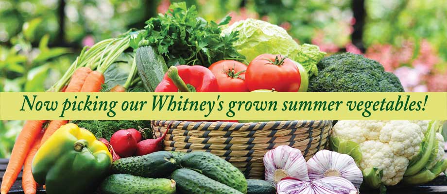 Whitney’s Farm Market & Garden Center